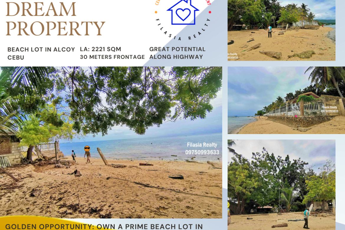 Land for Sale in Atabay, Alcoy, Cebu