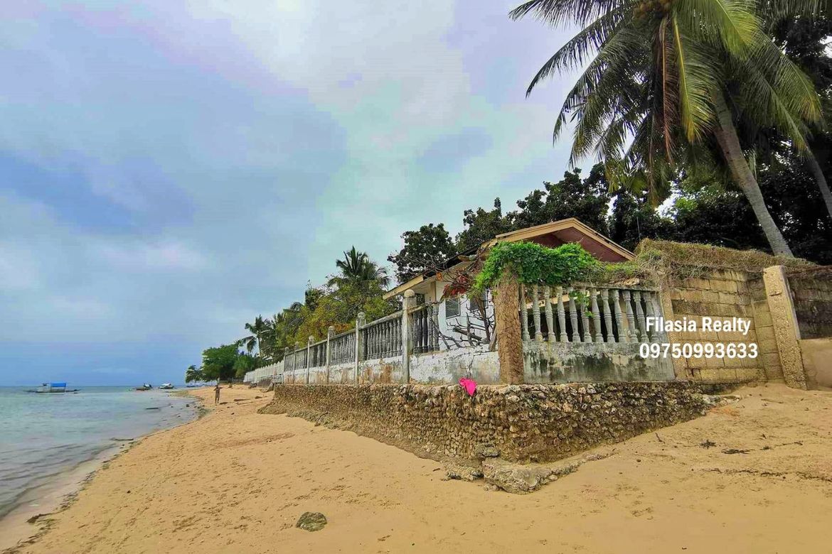 Land for Sale in Atabay, Alcoy, Cebu – photo 3