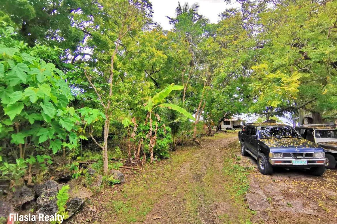 Land for Sale in Atabay, Alcoy, Cebu – photo 6