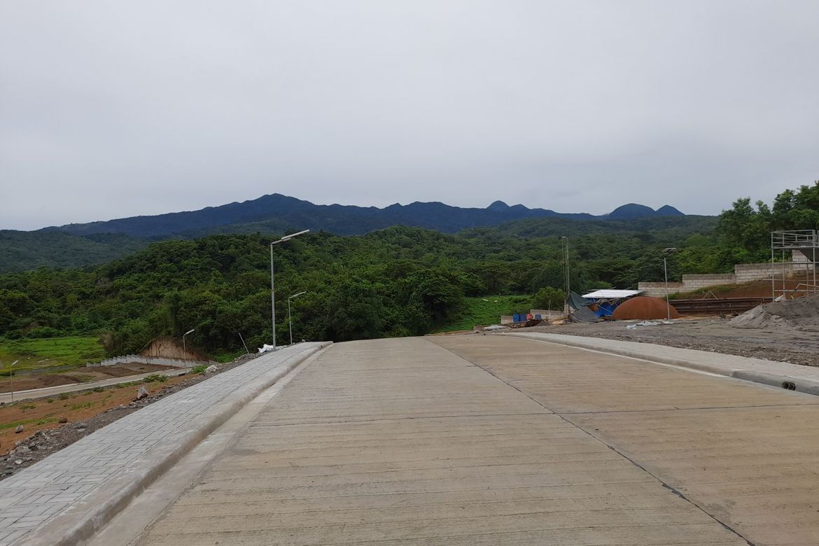 Land for Sale in Atilano L. Ricardo, Bagac, Bataan – photo 4