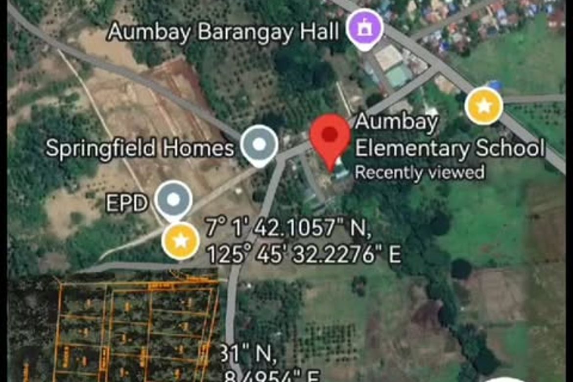 Land for Sale in Aumbay, Samal, Davao del Norte – photo 2