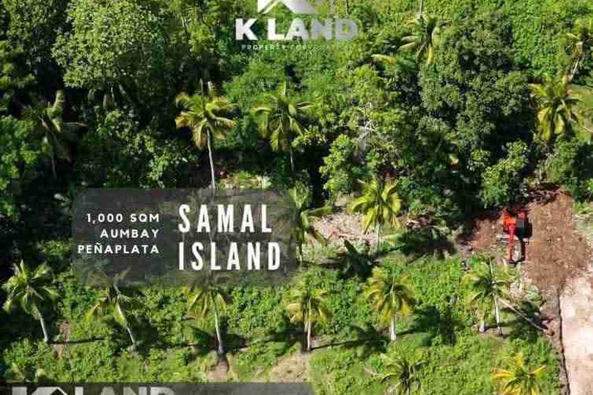 Land for Sale in Aumbay, Samal, Davao del Norte