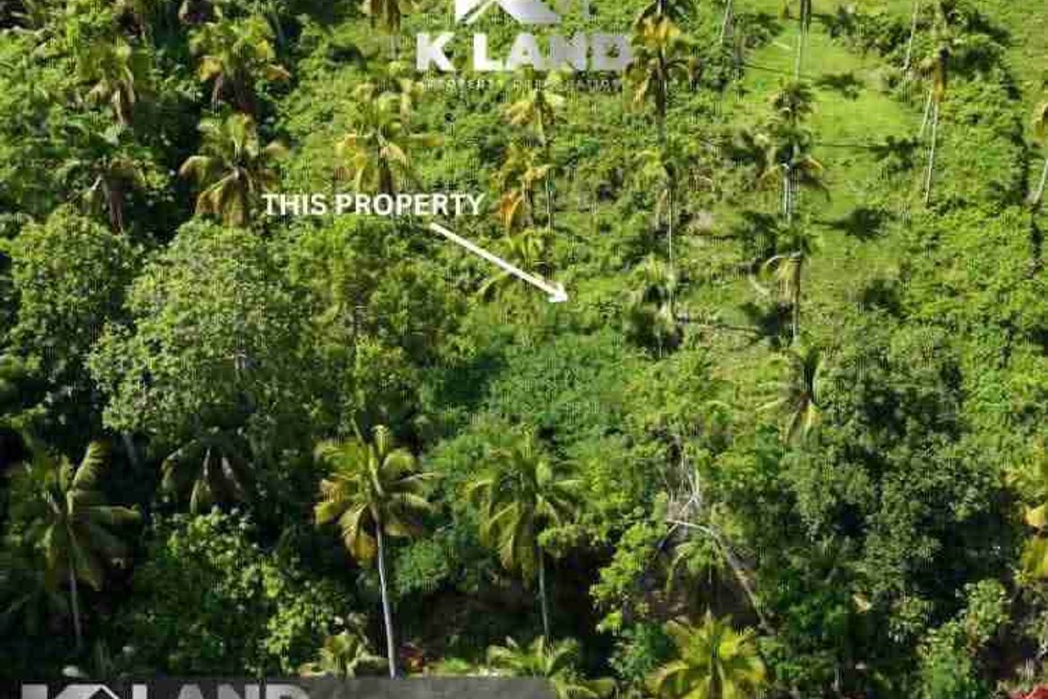 Land for Sale in Aumbay, Samal, Davao del Norte – photo 2