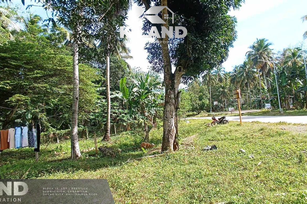Land for Sale in Aumbay, Samal, Davao del Norte – photo 4