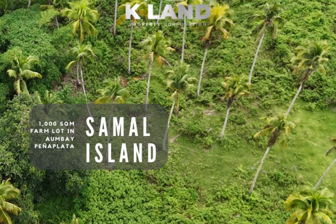 Land for Sale in Aumbay, Samal, Davao del Norte
