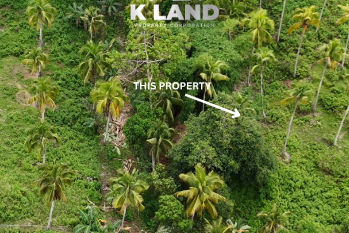 Land for Sale in Aumbay, Samal, Davao del Norte – photo 2