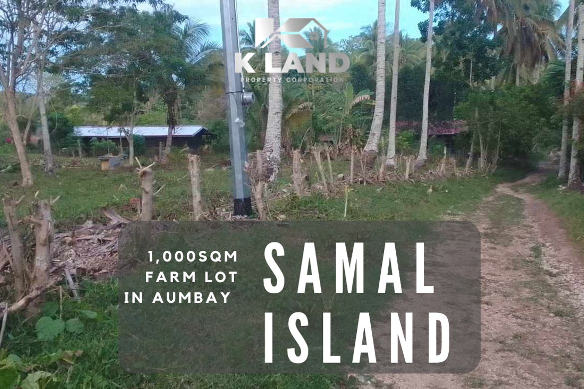 Land for Sale in Aumbay, Samal, Davao del Norte