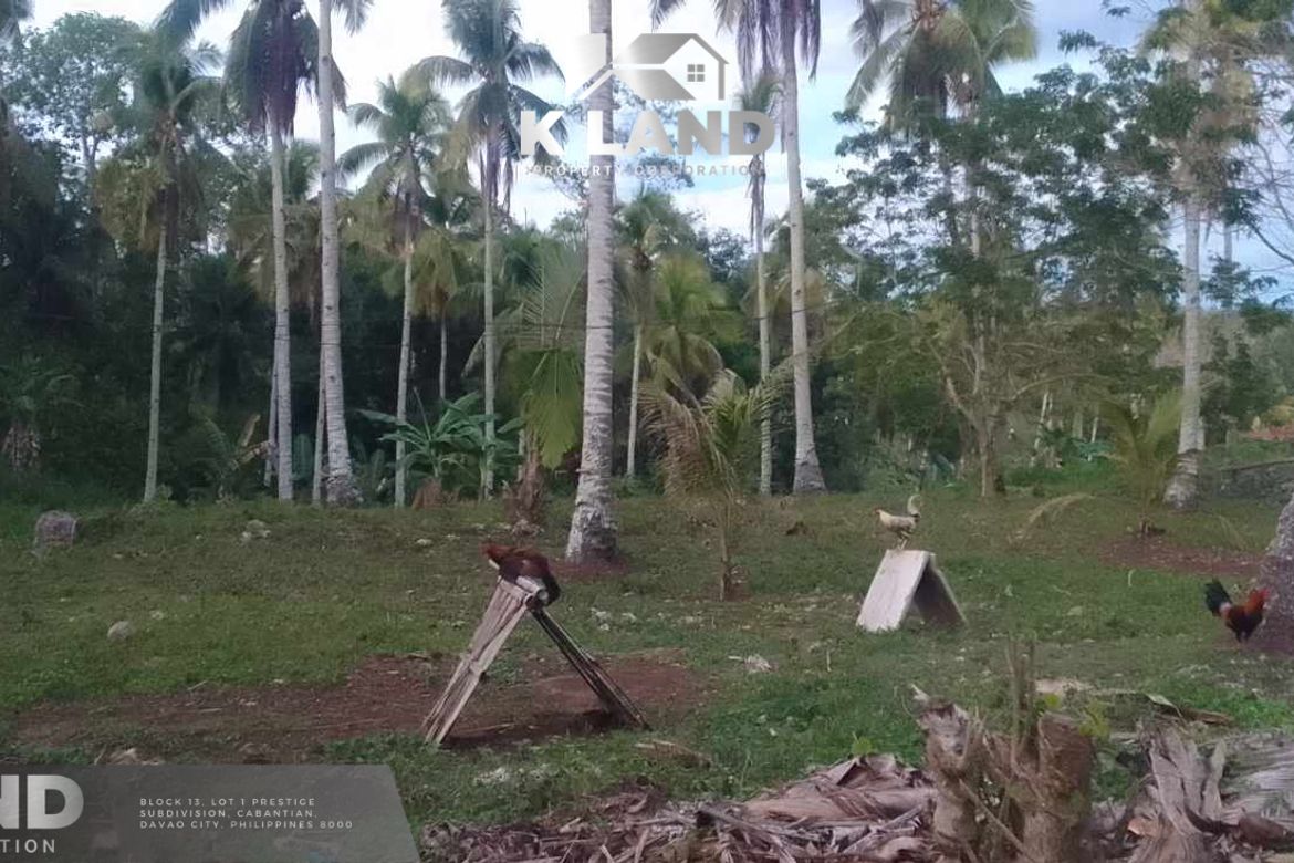 Land for Sale in Aumbay, Samal, Davao del Norte – photo 2