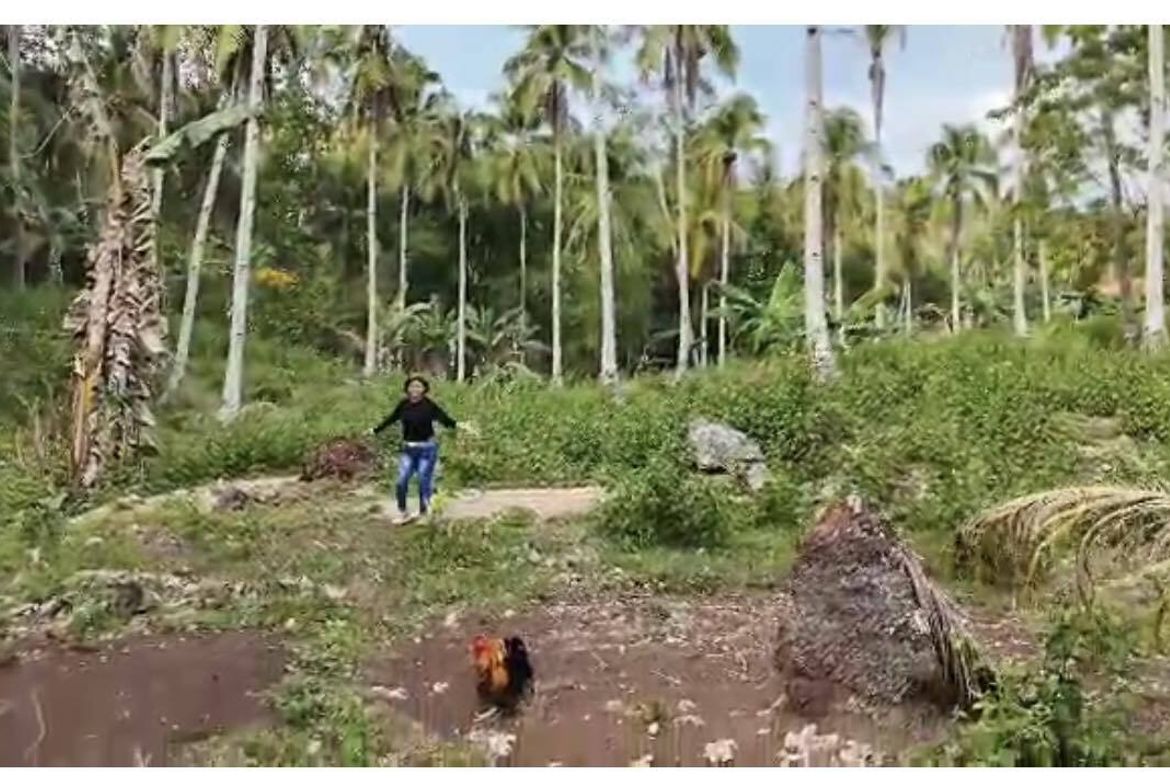 Land for Sale in Aumbay, Samal, Davao del Norte – photo 5