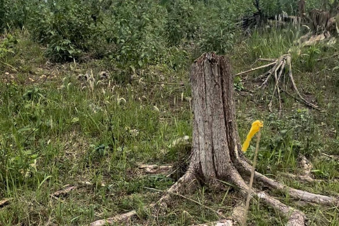 Land for Sale in Aumbay, Samal, Davao del Norte – photo 8