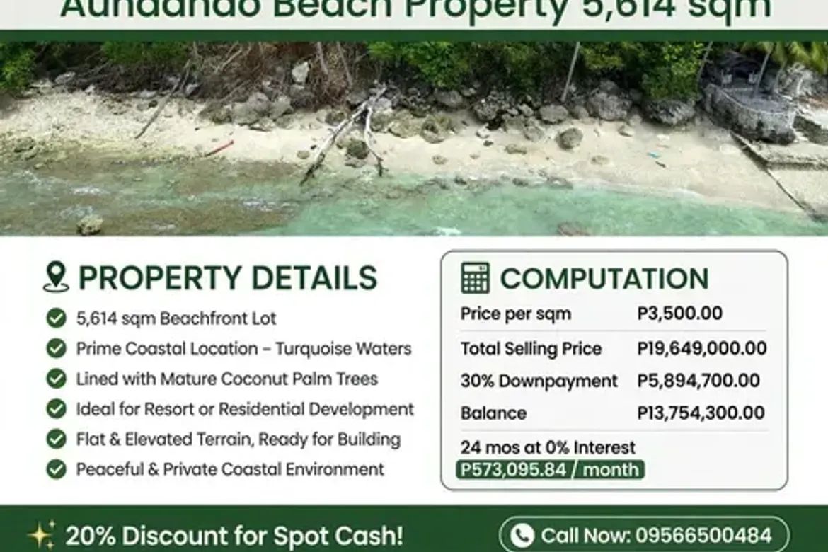 Land for Sale in Aundanao, Samal, Davao del Norte – photo 4