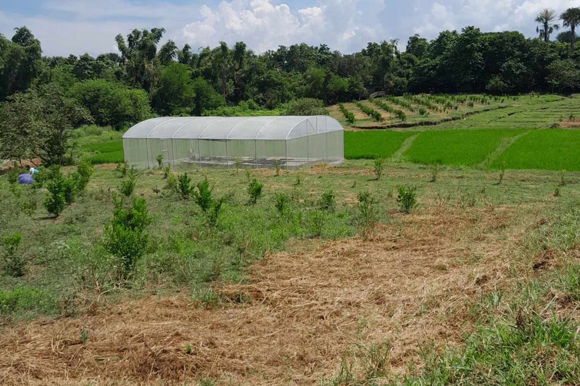Land for Sale in Awile, Anda, Pangasinan – photo 8