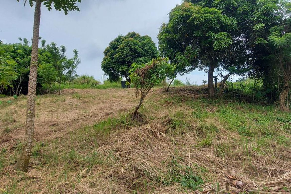 Land for Sale in Aya, Talisay, Batangas – photo 3