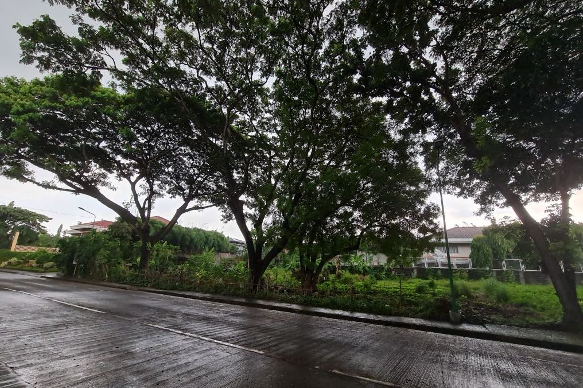 Land for Sale in Ayala Alabang Village, New Alabang Village, Muntinlupa, Metro Manila – photo 3