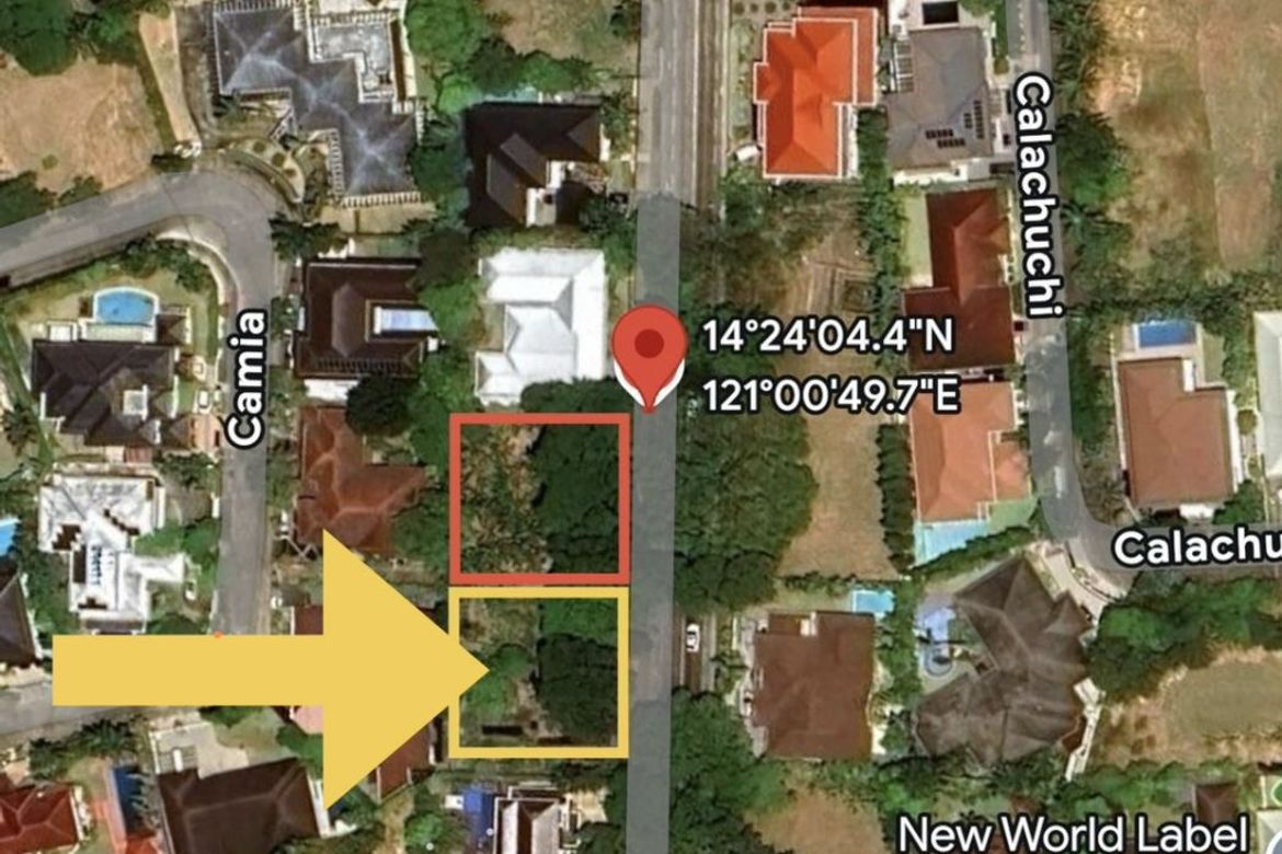 Land for Sale in Ayala Alabang Village, New Alabang Village, Muntinlupa, Metro Manila – photo 8