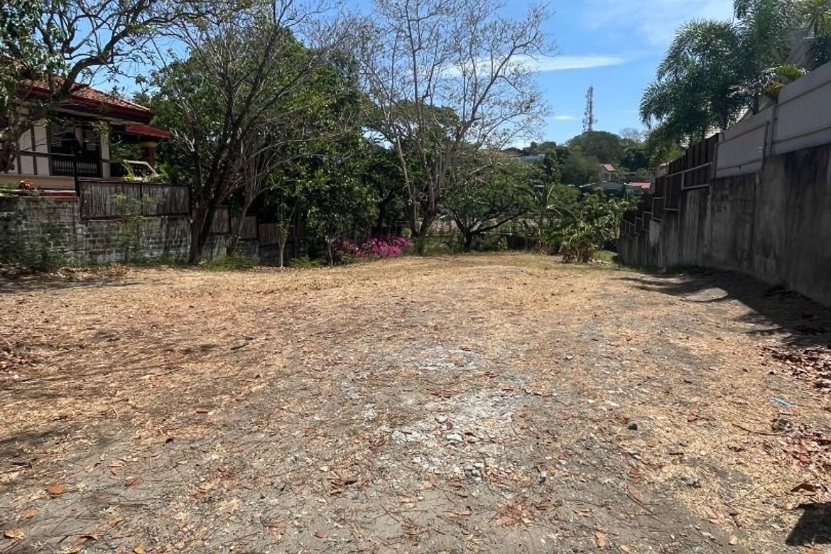 Land for Sale in Ayala Alabang Village, New Alabang Village, Muntinlupa, Metro Manila – photo 2
