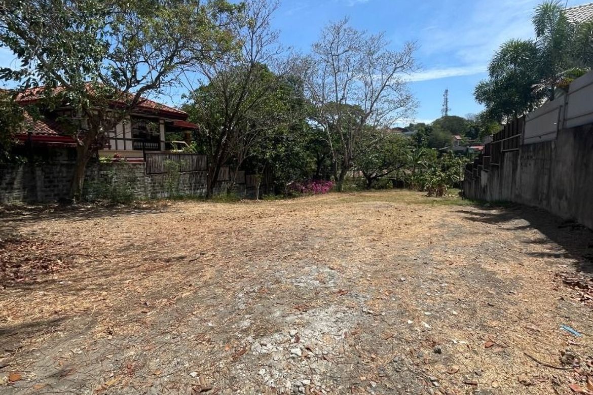 Land for Sale in Ayala Alabang Village, New Alabang Village, Muntinlupa, Metro Manila – photo 3