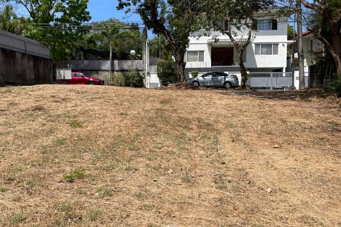 Land for Sale in Ayala Alabang Village, New Alabang Village, Muntinlupa, Metro Manila – photo 4