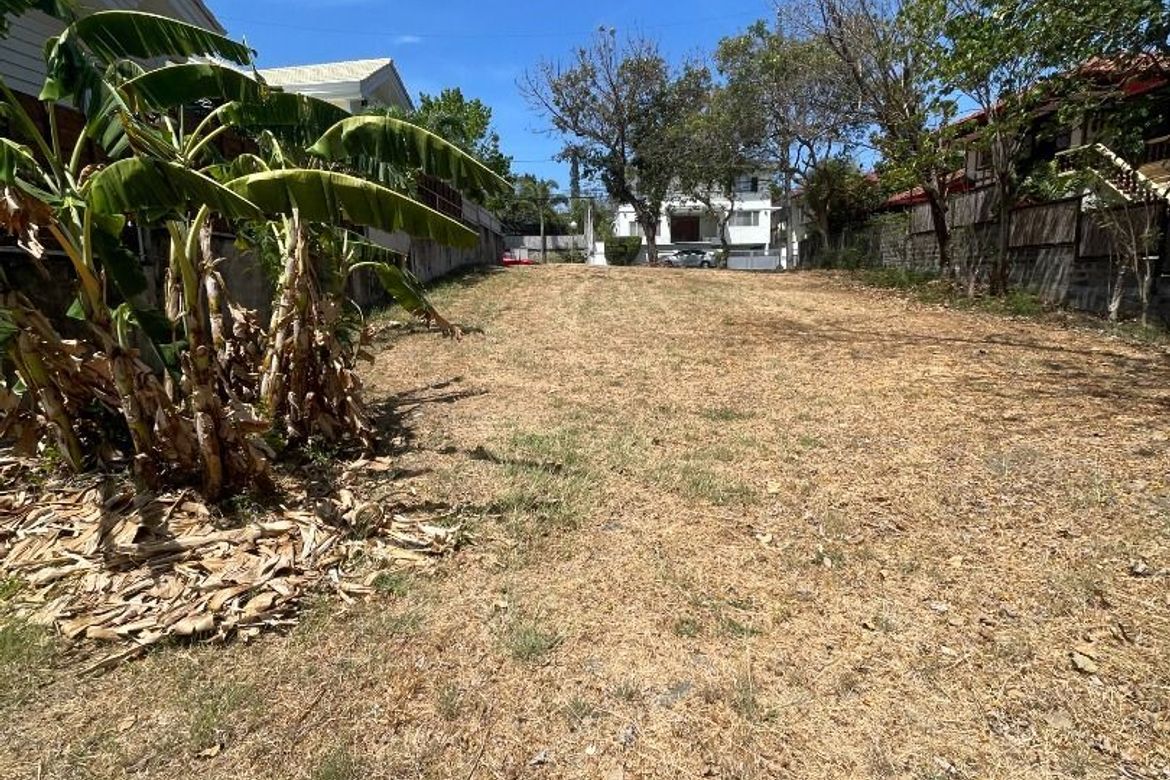 Land for Sale in Ayala Alabang Village, New Alabang Village, Muntinlupa, Metro Manila – photo 6