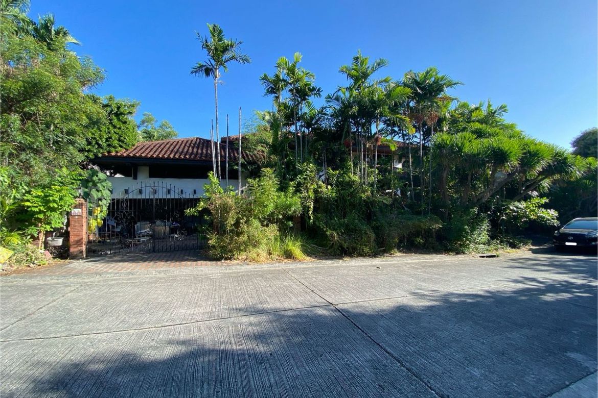 Land for Sale in Ayala Alabang Village, New Alabang Village, Muntinlupa, Metro Manila – photo 6