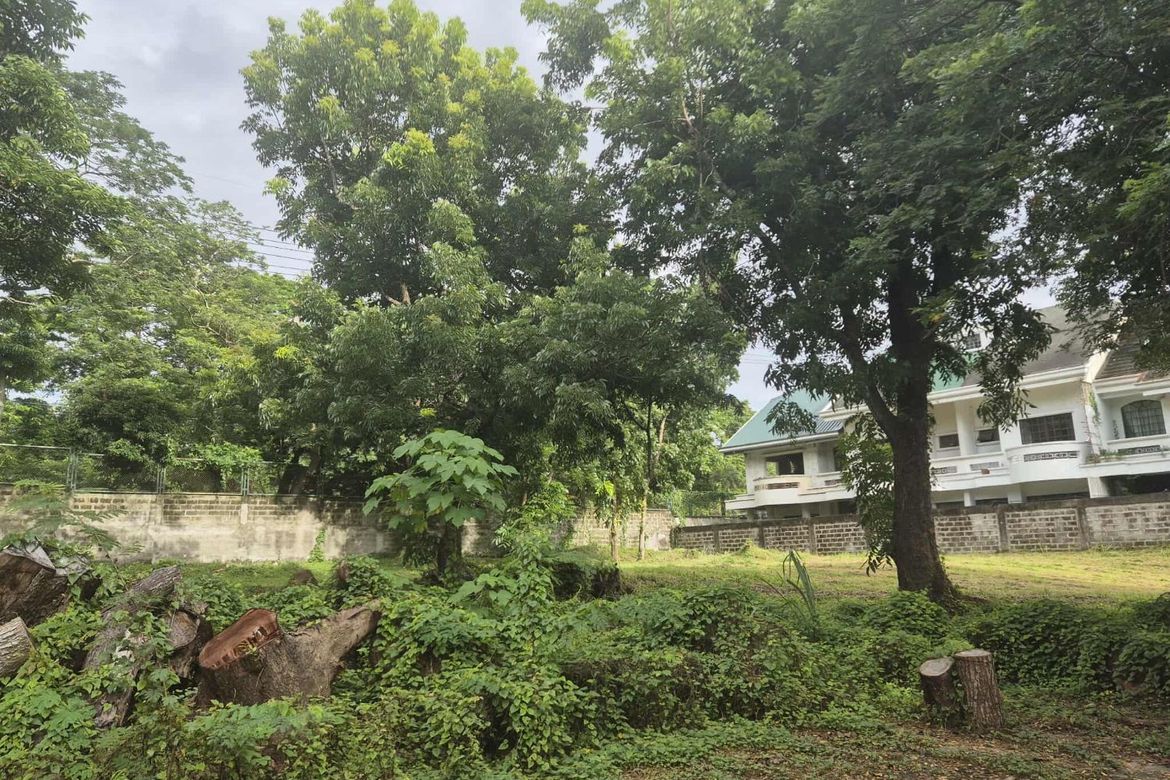 Land for Sale in Ayala Alabang Village, New Alabang Village, Muntinlupa, Metro Manila