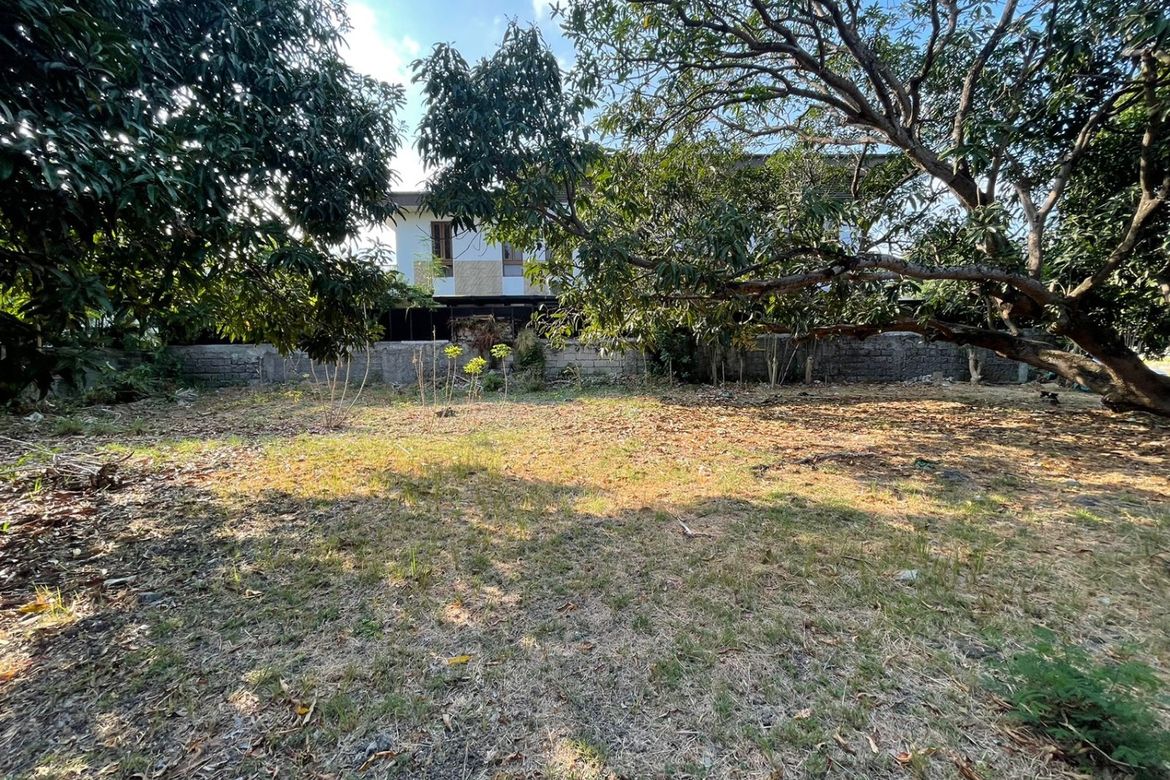 Land for Sale in Ayala Alabang Village, New Alabang Village, Muntinlupa, Metro Manila – photo 2
