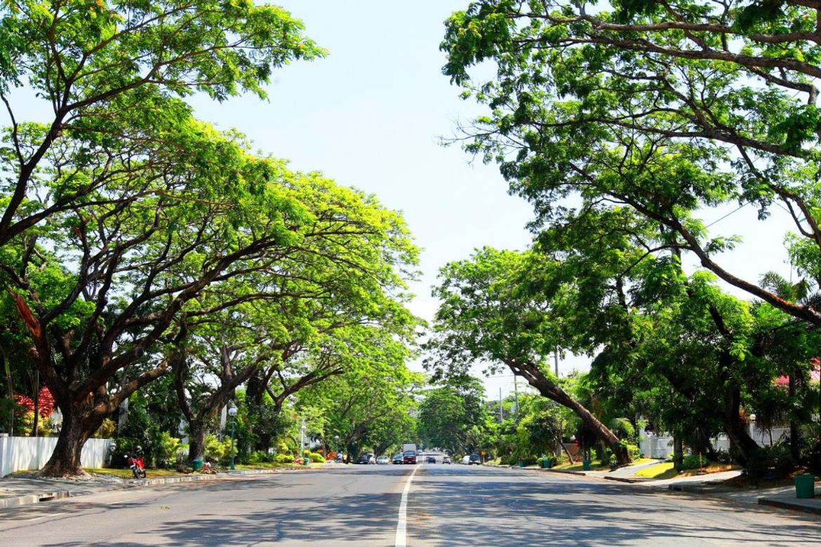 Land for Sale in Ayala Alabang Village, New Alabang Village, Muntinlupa, Metro Manila
