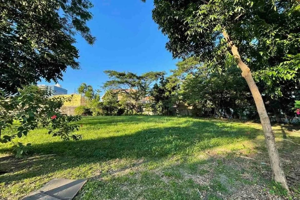 Land for Sale in Ayala Alabang Village, New Alabang Village, Muntinlupa, Metro Manila – photo 2