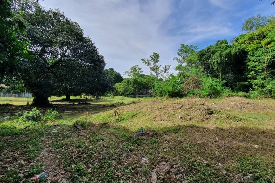 Land for Sale in Ayala Alabang Village, New Alabang Village, Muntinlupa, Metro Manila