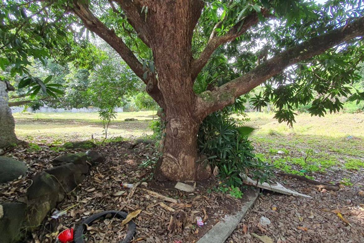 Land for Sale in Ayala Alabang Village, New Alabang Village, Muntinlupa, Metro Manila – photo 3