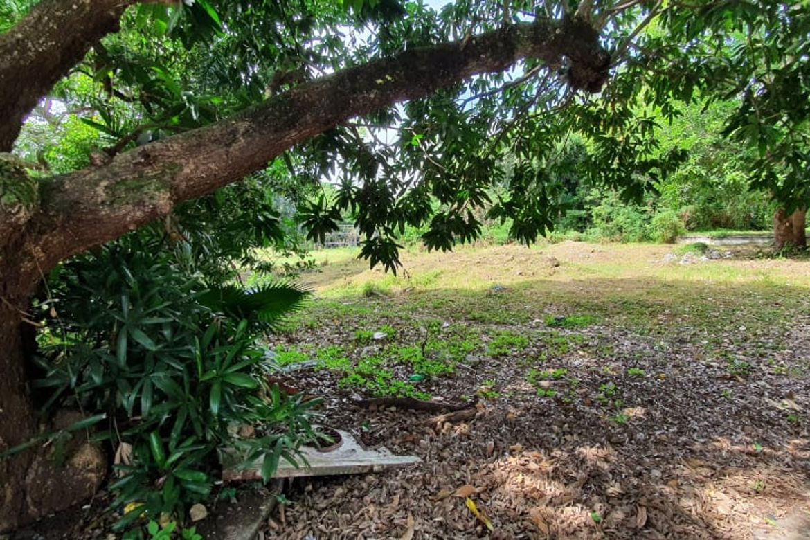 Land for Sale in Ayala Alabang Village, New Alabang Village, Muntinlupa, Metro Manila – photo 4