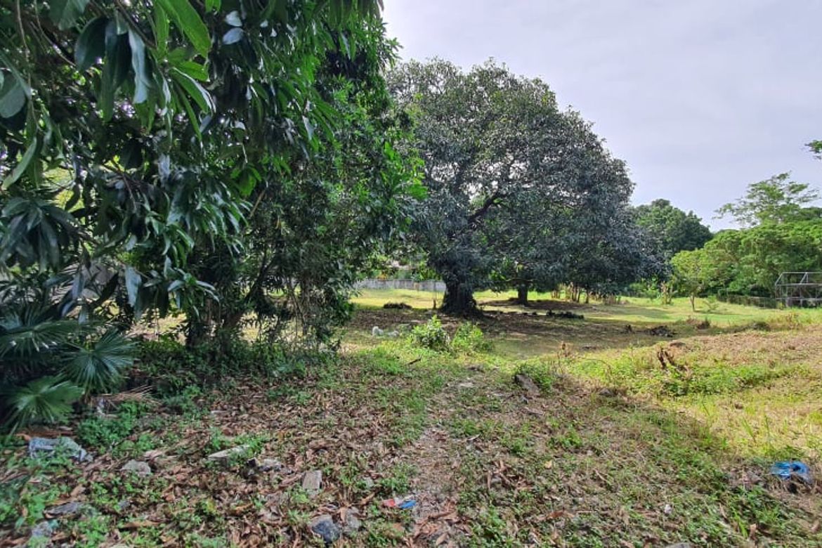 Land for Sale in Ayala Alabang Village, New Alabang Village, Muntinlupa, Metro Manila – photo 6