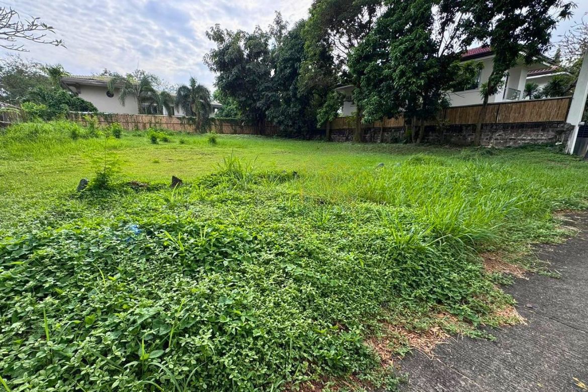 Land for Sale in Ayala Alabang Village, New Alabang Village, Muntinlupa, Metro Manila – photo 2
