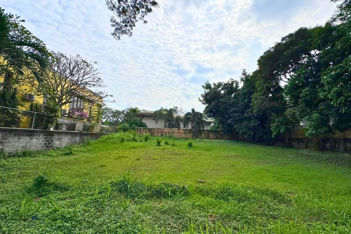 Land for Sale in Ayala Alabang Village, New Alabang Village, Muntinlupa, Metro Manila – photo 4