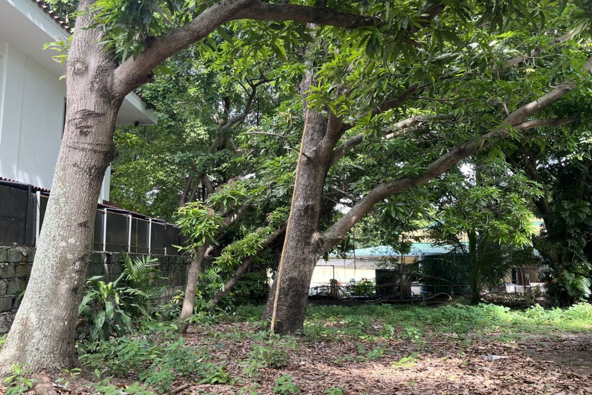 Land for Sale in Ayala Alabang Village, New Alabang Village, Muntinlupa, Metro Manila – photo 3