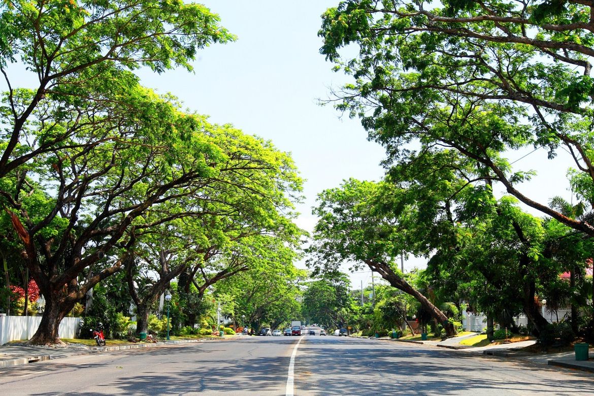Land for Sale in Ayala Alabang Village, New Alabang Village, Muntinlupa, Metro Manila – photo 5