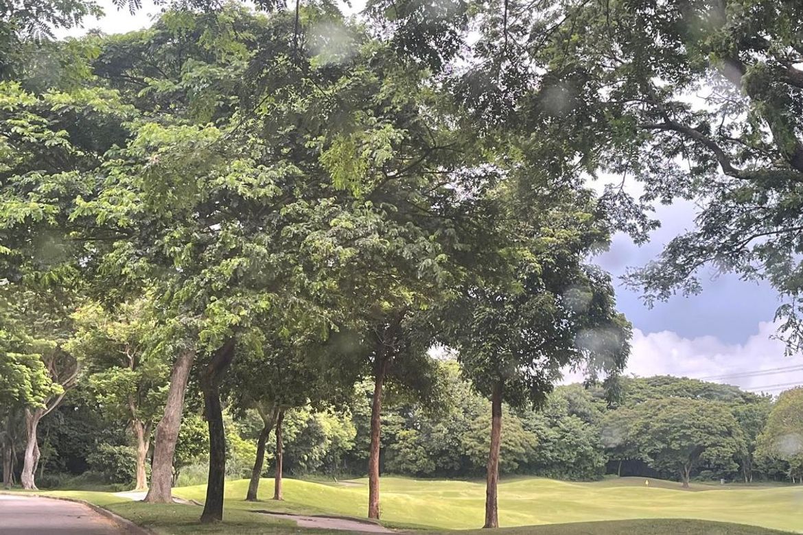 Land for Sale in Ayala Alabang Village, New Alabang Village, Muntinlupa, Metro Manila – photo 2