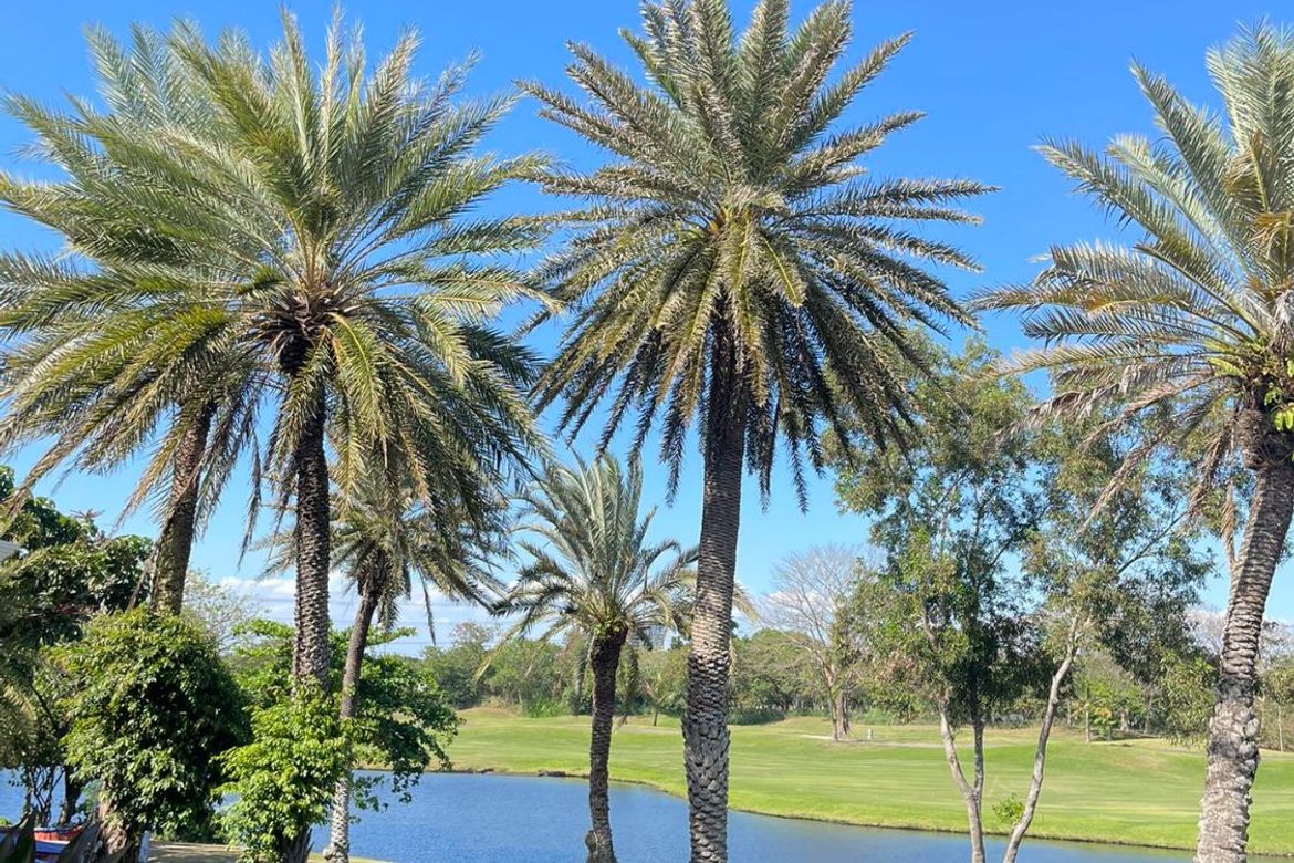 Land for Sale in Ayala Alabang Village, New Alabang Village, Muntinlupa, Metro Manila – photo 8