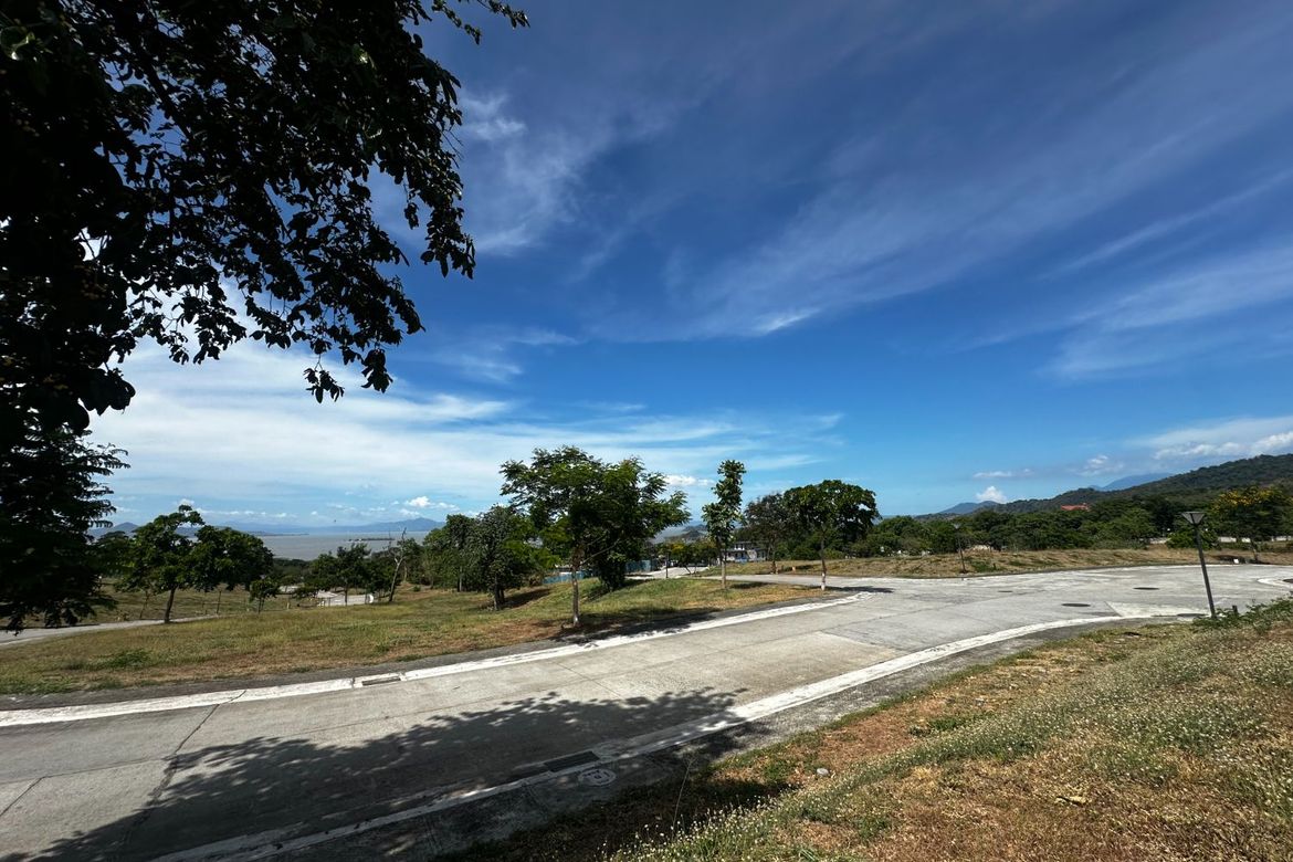 Land for Sale in Ayala Greenfield Estates, Maunong, Calamba, Laguna – photo 2