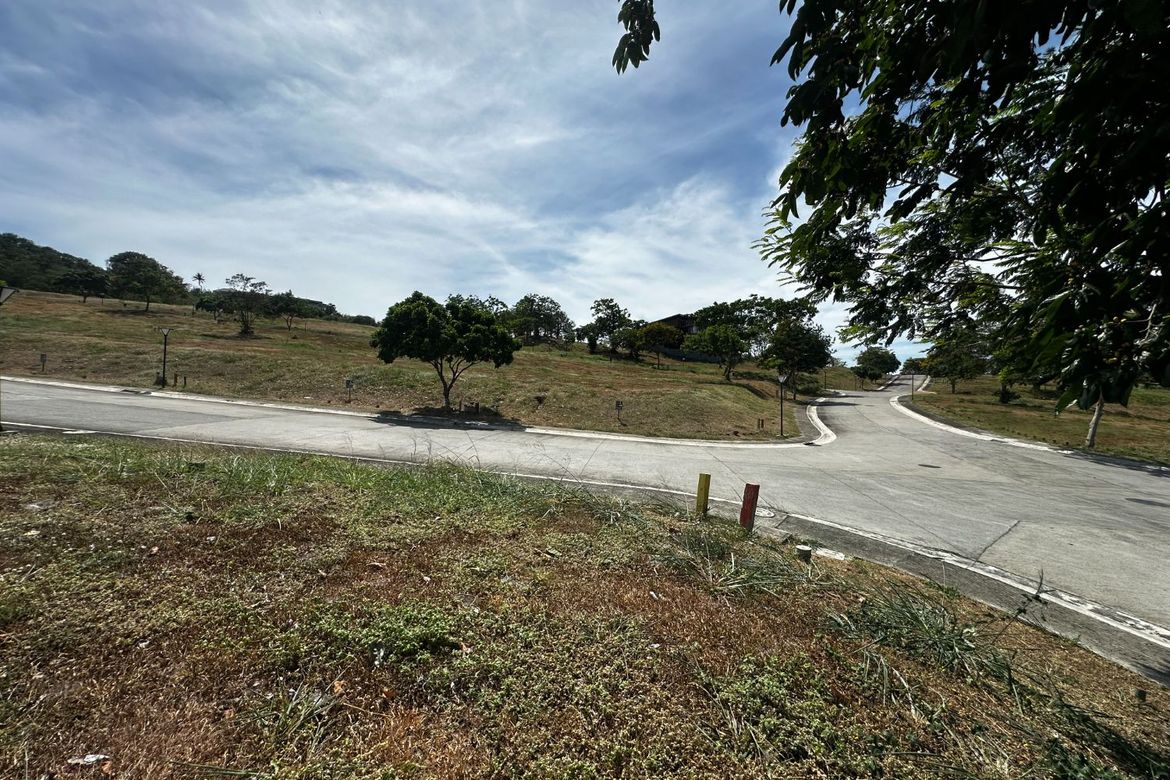 Land for Sale in Ayala Greenfield Estates, Maunong, Calamba, Laguna – photo 5