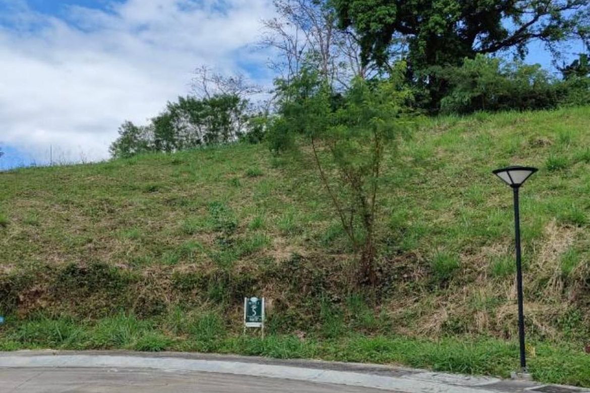 Land for Sale in Ayala Greenfield Estates, Maunong, Calamba, Laguna
