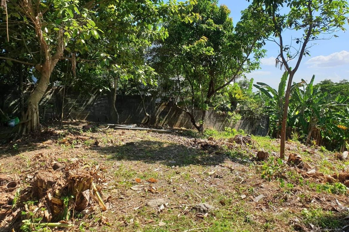 Land for Sale in Ayala Greenfield Estates, Maunong, Calamba, Laguna – photo 3
