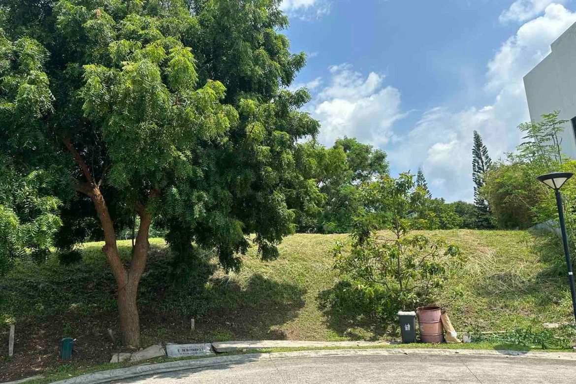 Land for Sale in Ayala Greenfield Estates, Maunong, Calamba, Laguna