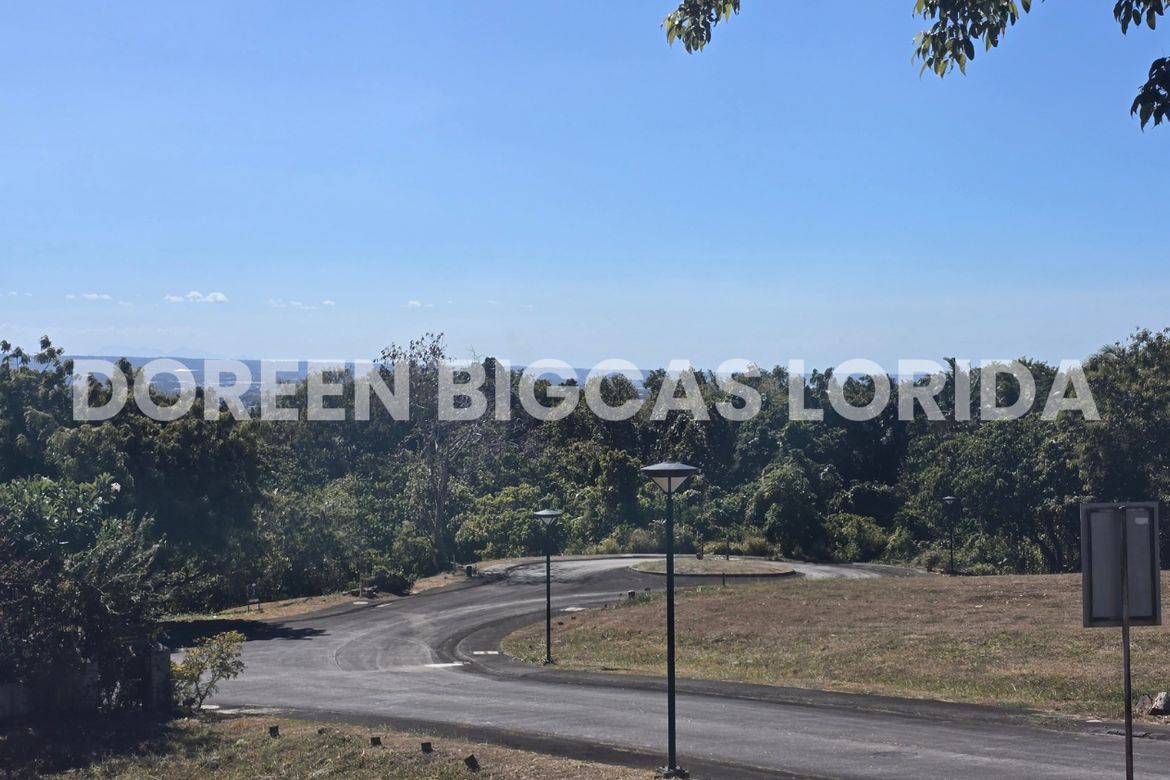 Land for Sale in Ayala Greenfield Estates, Maunong, Calamba, Laguna – photo 5