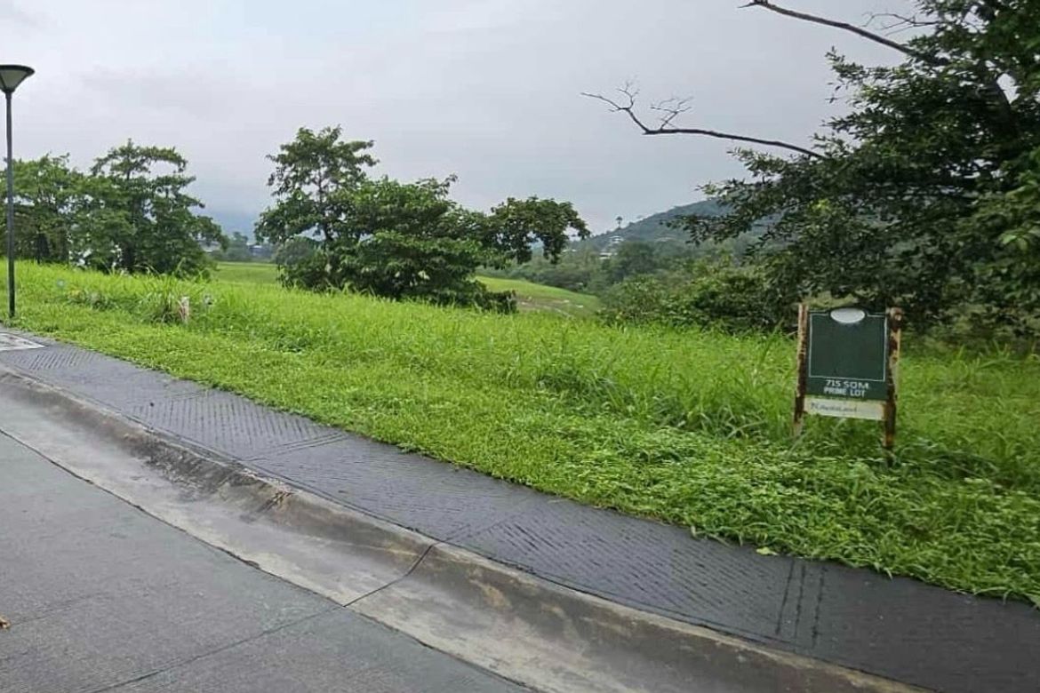 Land for Sale in Ayala Greenfield Estates, Maunong, Calamba, Laguna