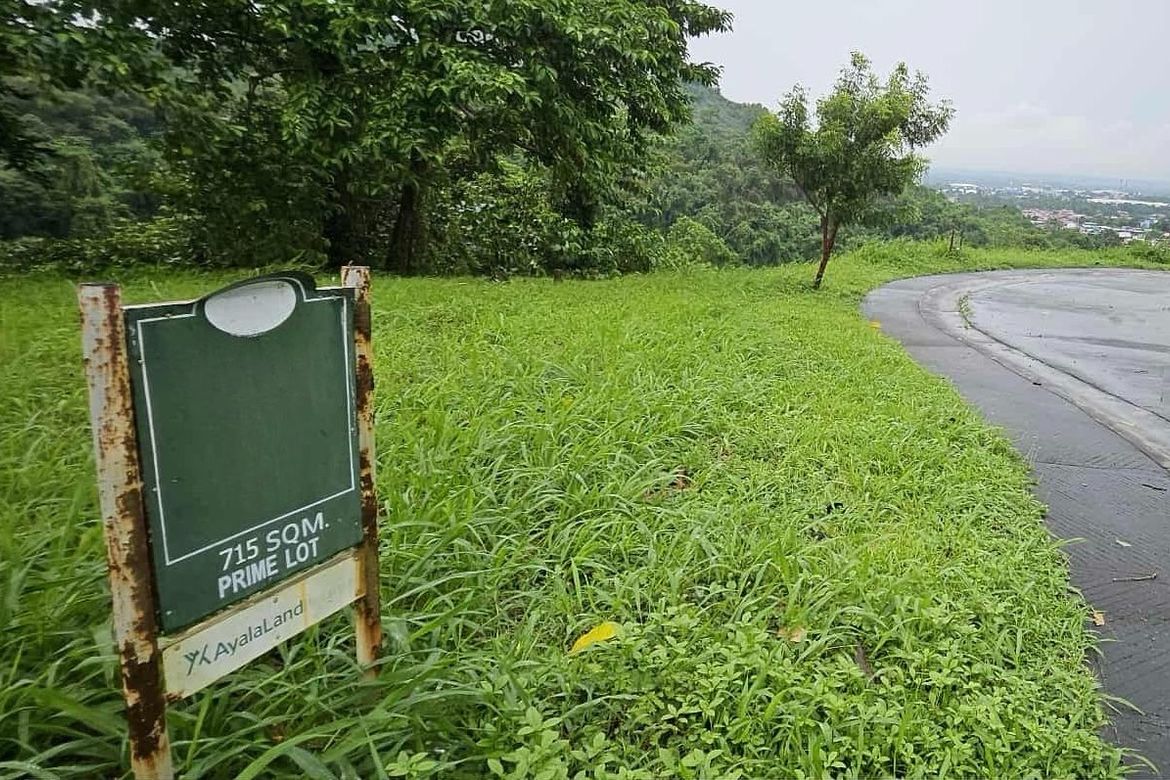 Land for Sale in Ayala Greenfield Estates, Maunong, Calamba, Laguna – photo 2