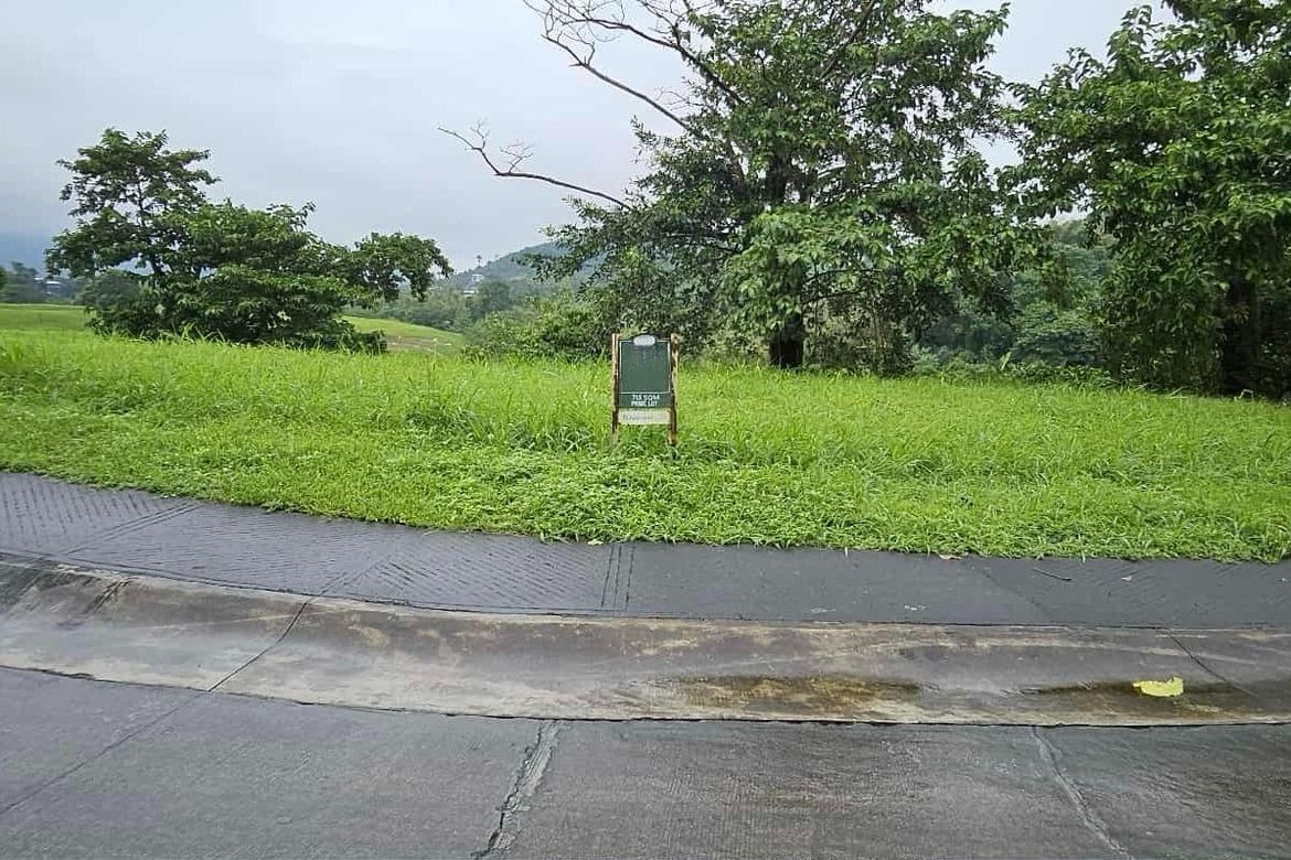 Land for Sale in Ayala Greenfield Estates, Maunong, Calamba, Laguna – photo 3