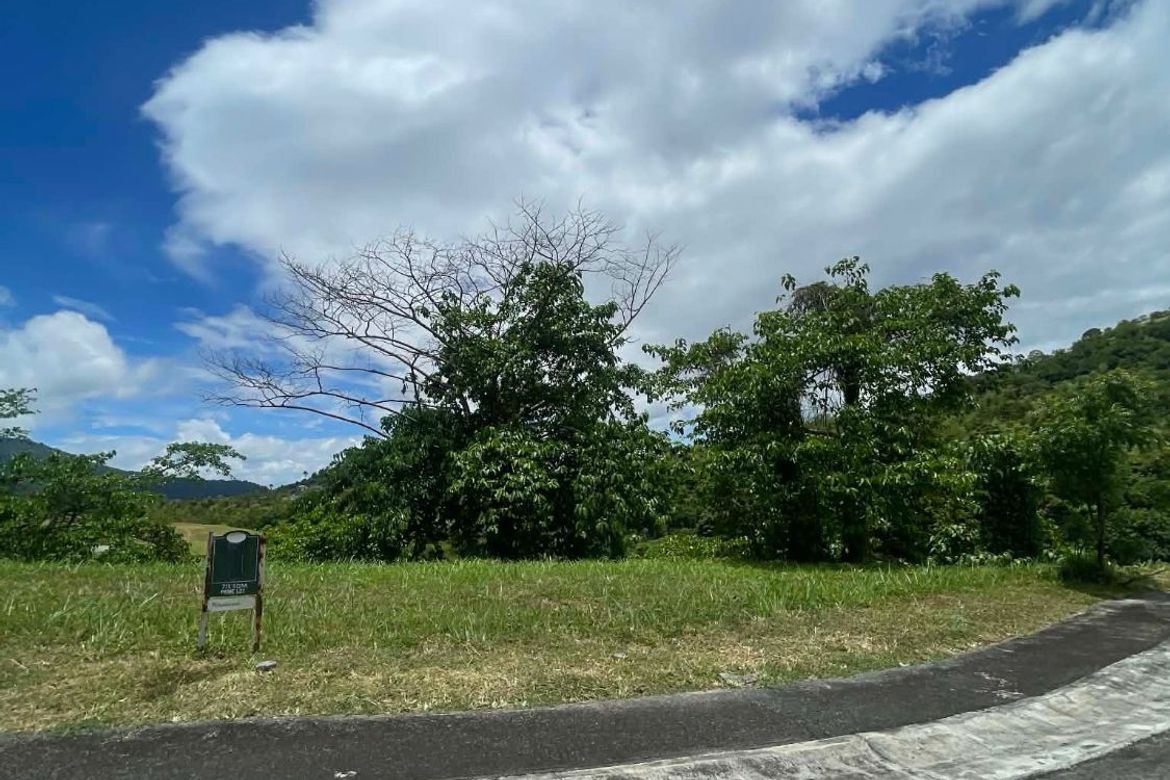 Land for Sale in Ayala Greenfield Estates, Maunong, Calamba, Laguna – photo 6