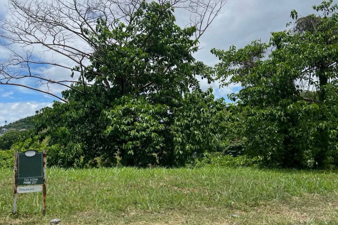 Land for Sale in Ayala Greenfield Estates, Maunong, Calamba, Laguna – photo 7