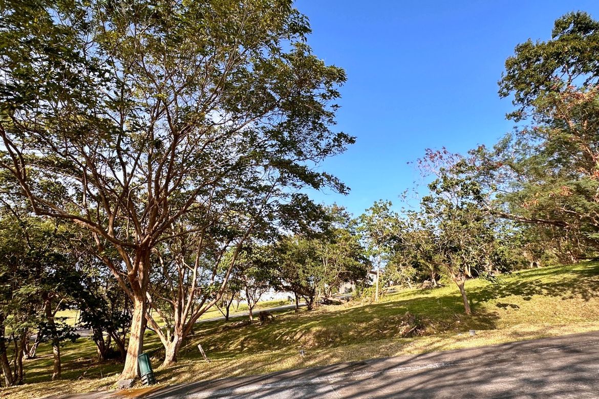 Land for Sale in Ayala Greenfield Estates, Maunong, Calamba, Laguna – photo 2